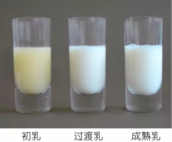 母乳營養(yǎng)成分檢測，母乳分析儀的好處您知多少？