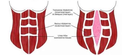 熱門話題之產(chǎn)后腹直肌分離如何康復(fù)，腹直肌修復(fù)儀器功不可沒