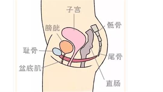 通澤便攜產(chǎn)后康復(fù)治療儀，促進產(chǎn)后快速恢復(fù)