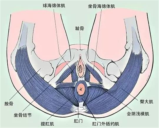 產(chǎn)康門店創(chuàng)業(yè)，開展什么產(chǎn)康項(xiàng)目合適呢？