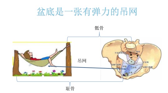 女性盆底康復(fù)要及時(shí)，否則抱憾終身，婦科盆底康復(fù)治療儀幫到您