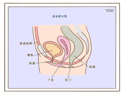 盆底康復治療儀應該在產后什么時候使用？