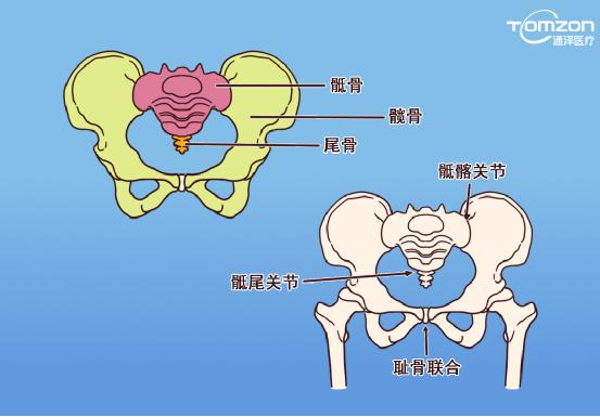 盆底肌康復(fù)儀能不能呵護健康？